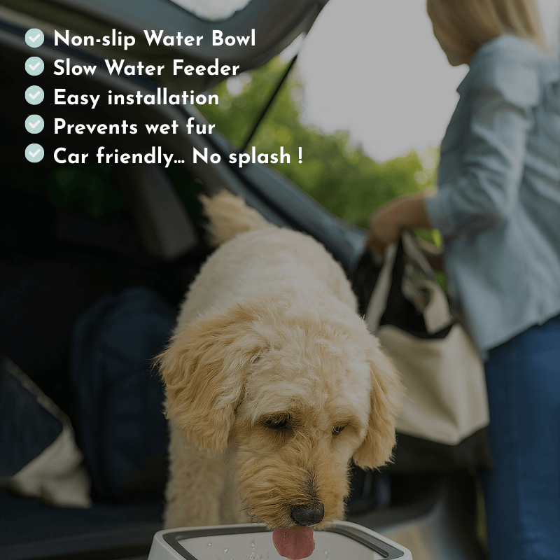 Anti-Spill Water Bowl by CleoPetra – dimensions or included accessories