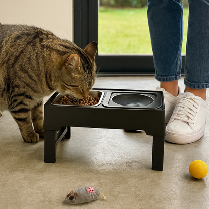 Height-Adjustable Stainless Steel Pet Feeder | CleoPetra™