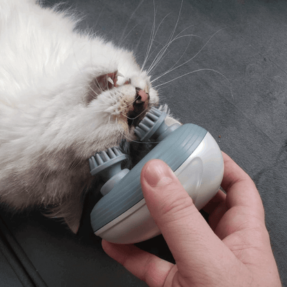 Friendly Pet Massager | CleoPetra™