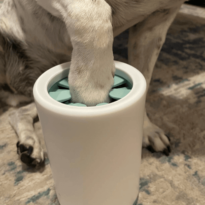 Automatic Paw Cleaner | CleoPetra™