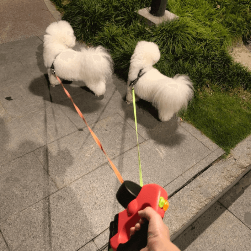 Dual Leash no Tangle | CleoPetra™