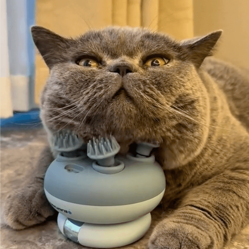 Friendly Pet Massager | CleoPetra™