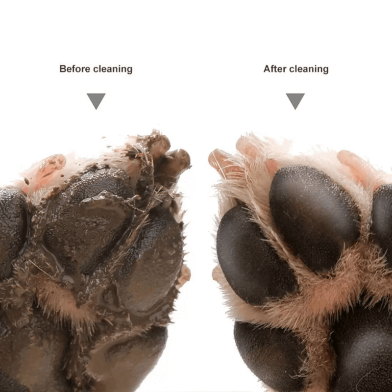 Automatic Paw Cleaner | CleoPetra™