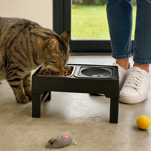 Adjustable Stainless Pet Feeder by CleoPetra – main product view