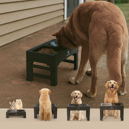 Adjustable Stainless Pet Feeder by CleoPetra – components and operation