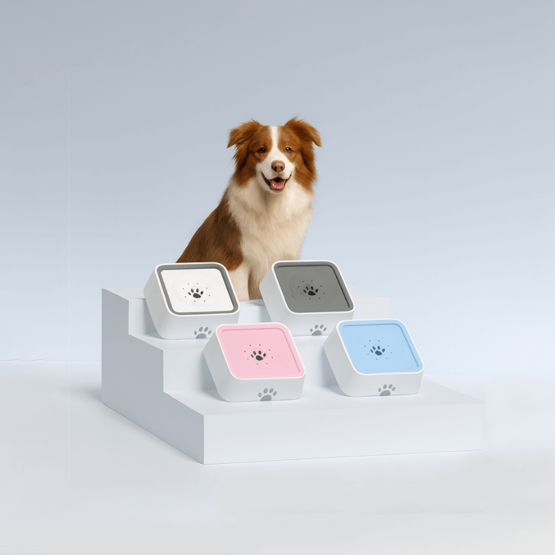 Anti-Spill Water Bowl by CleoPetra – shown in use with pets