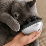 Friendly Automatic Pet Massager