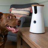 Interactive 360º Camera