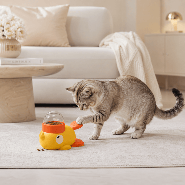 Interactive Puzzle Toy by CleoPetra – main product view