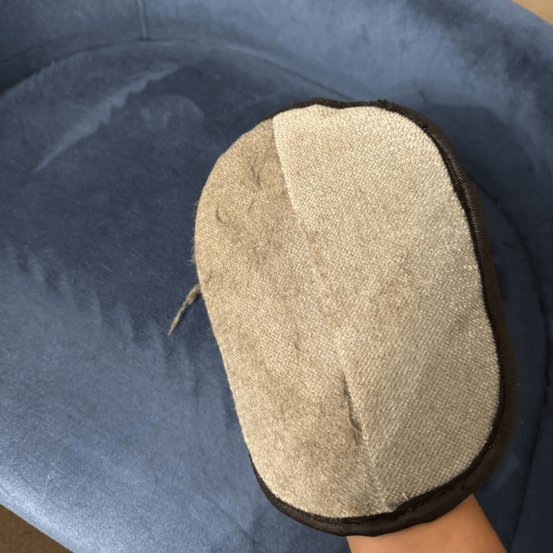 Pet Grooming Glove x 2 by CleoPetra – shown in use with pets