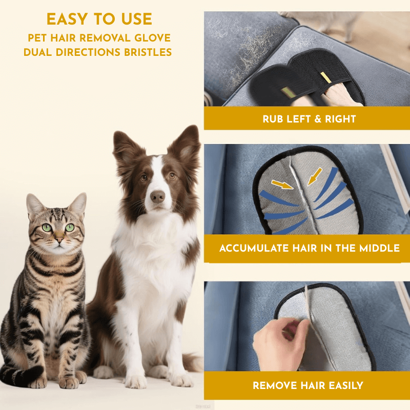 Starter Pack Bundle by CleoPetra – components and operation