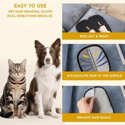 Starter Pack Bundle by CleoPetra – components and operation