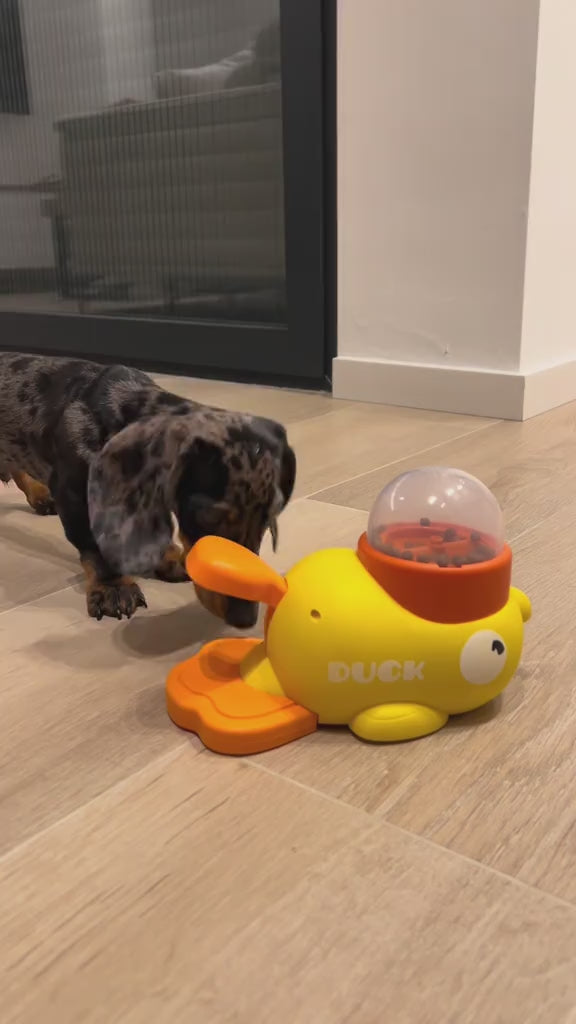 interactive toy feeder treats cats dogs healthy habbits slow feeder dispenser Australia 