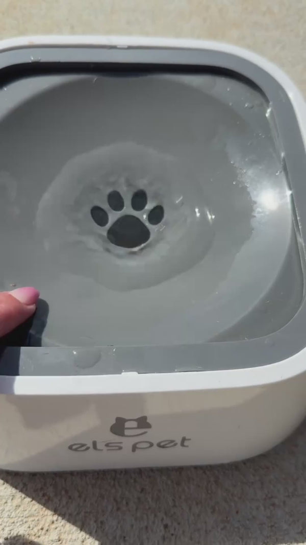 antispill water bowl free mess Australia for dogs and cats pet shop
