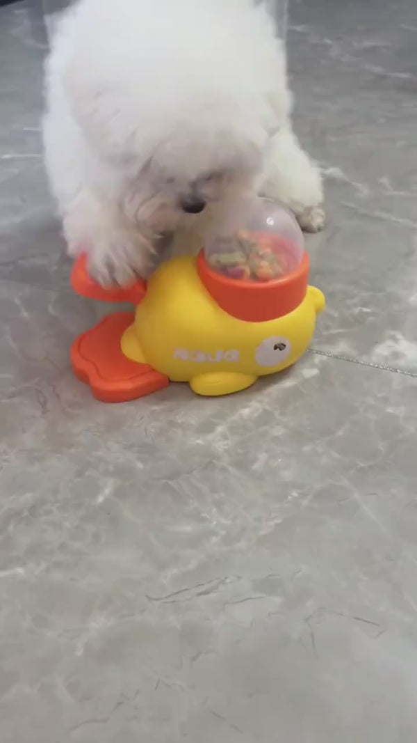 interactive toy feeder treats cats dogs healthy habbits slow feeder dispenser Australia 