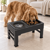 Raised Slow Pet Feeder