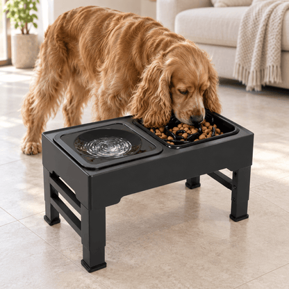 Raised Slow Pet Feeder by CleoPetra – main product view