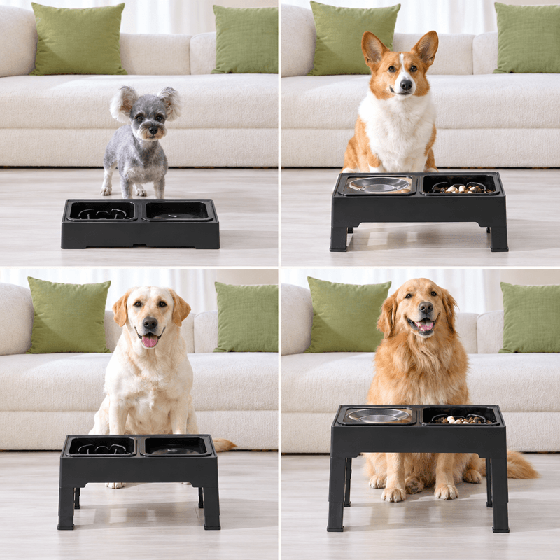 Raised Slow Pet Feeder by CleoPetra – design and key features