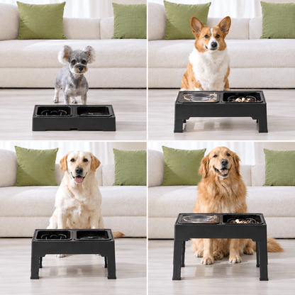 Raised Slow Pet Feeder by CleoPetra – design and key features